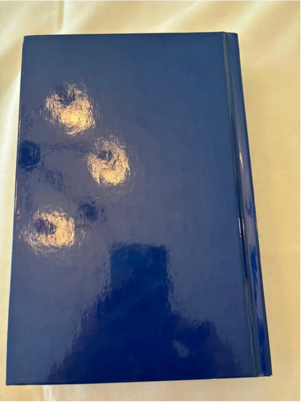 Baruch College 2001 Alumni Directory Coffee Table Book One Size Blue White #E97